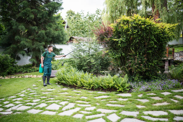 Trusted The Village Of Indian Hill, OH Pest Control Experts