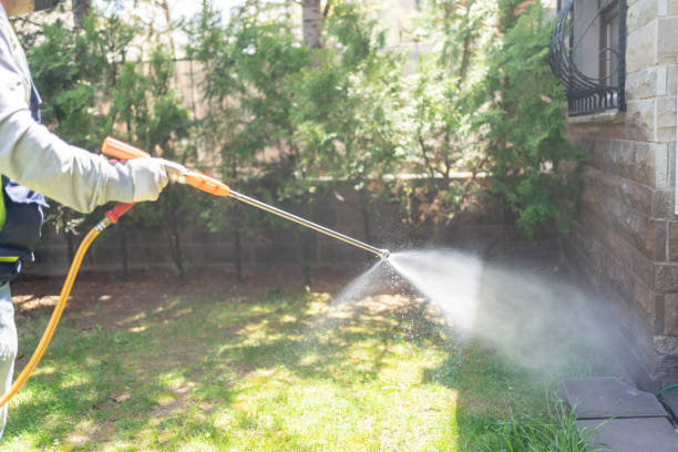 Wasp Removal Services in The Village Of Indian Hill, OH