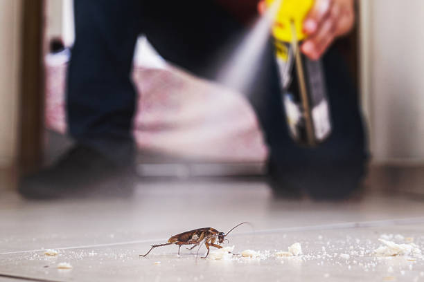 Best Affordable Pest Control Services  in The Village Of Indian Hill, OH